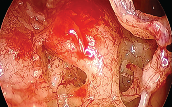 Functional units of tympanic cavity.