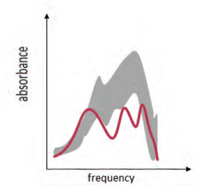 Wide band tympanogram absorbance graph in two-dimensional with the absorbance in percentage in the y-axis and the frequency from 250 to 8,000 Hz in the x-axis.