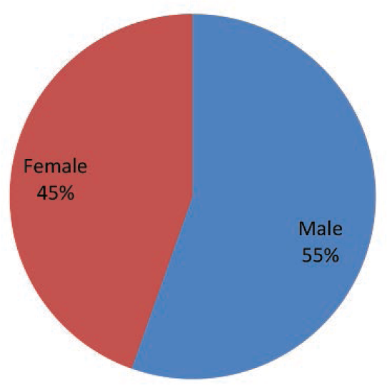 Pie chart showing the sex distribution of study population.