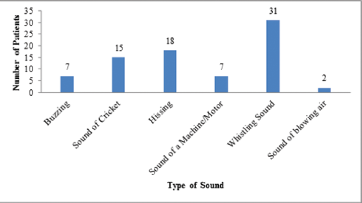 Types of tinnitus experienced by the study participants before treatment (N = 67).