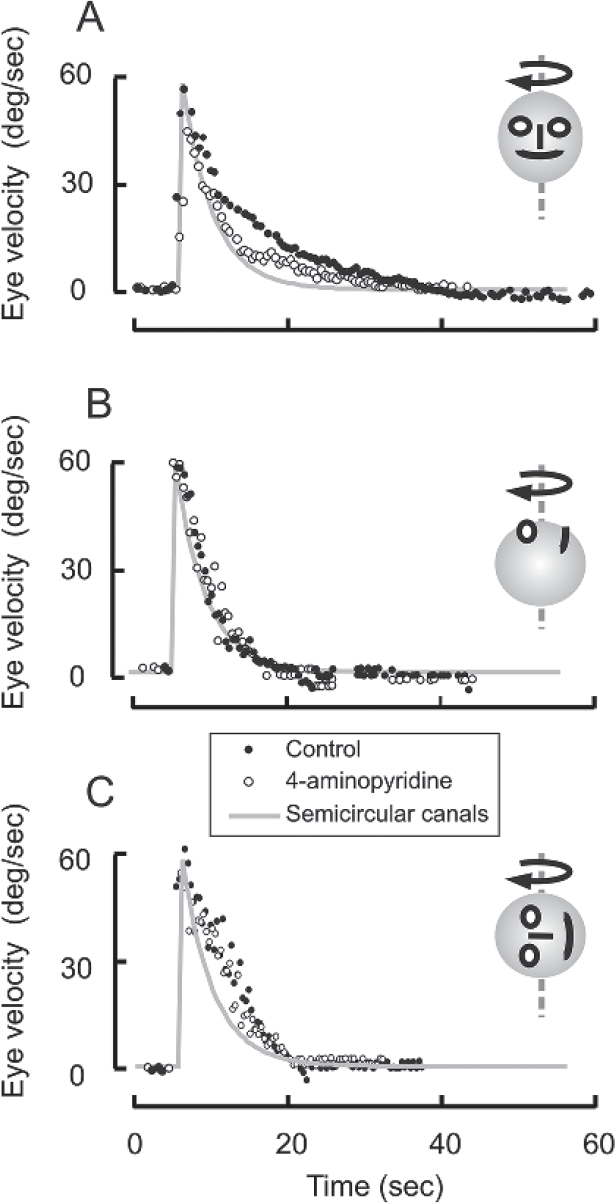 Effects of constant velocity sustained rotation in yaw plane (A), roll plane (B), and pitch plane (C). Each dot depicts eye velocity (A: horizontal eye velocity, B: torsional eye velocity, C: vertical eye velocity) plotted on the y-axis while corresponding time on the x-axis. Gray line is cupular decay time constant. Filled symbols are eye velocity of rotational (and postrotational) nystagmus before and open symbols after oral intake of 4-aminopyridine. This figure was reproduced from Shaikh, et al.24 with permission.