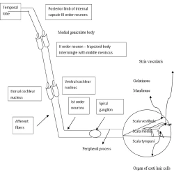 Article figure