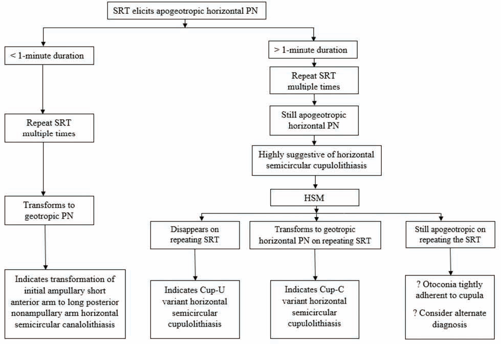 Suggested algorithm for action when supine roll test (SRT) elicits apogeotropic horizontal positional nystagmus